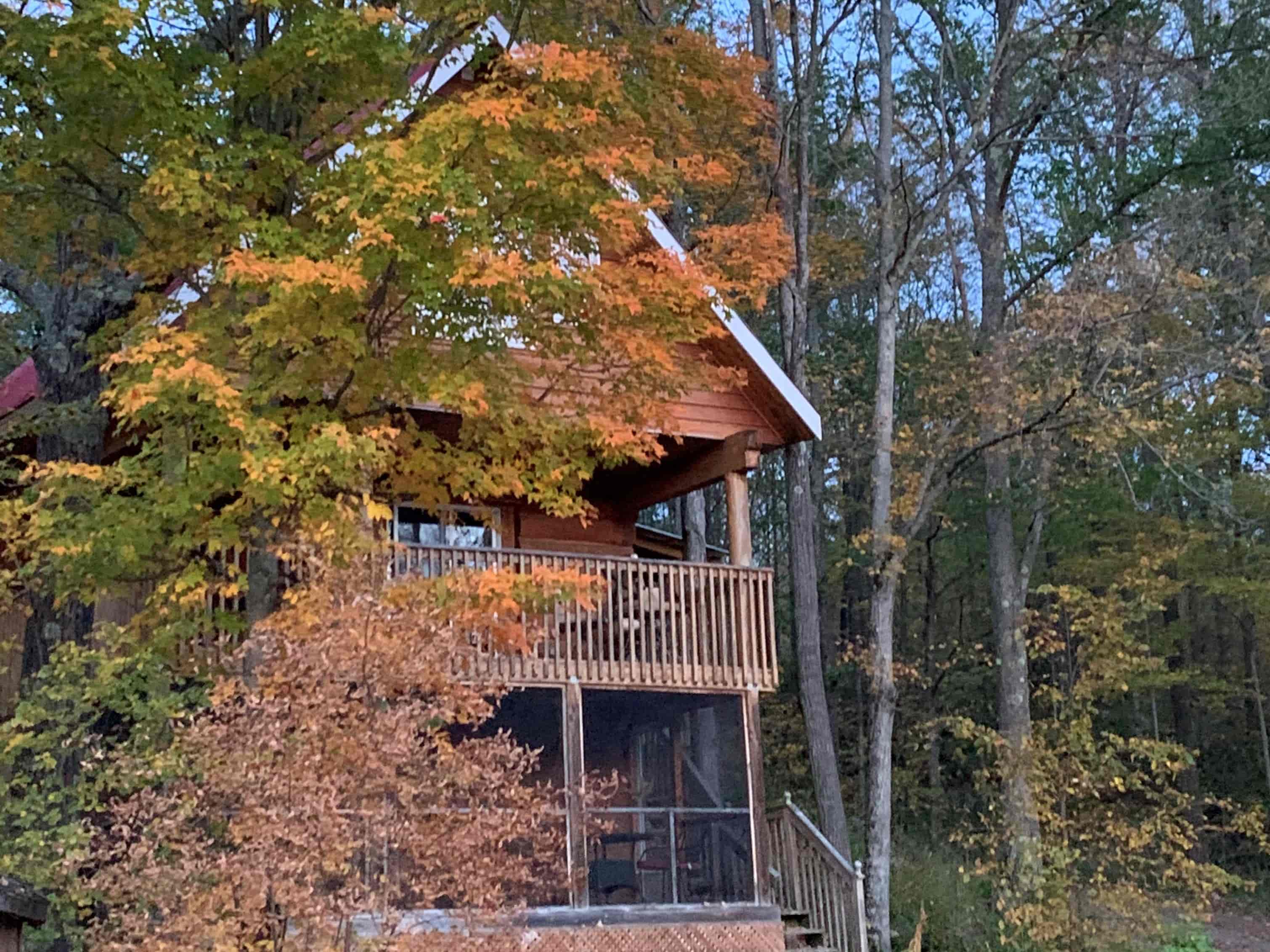 The log cabin hidden in the fall colours.