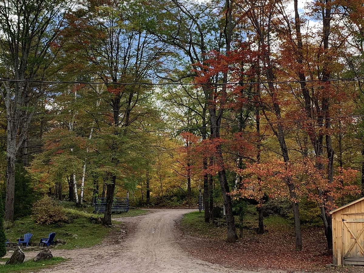 Fall hiking path