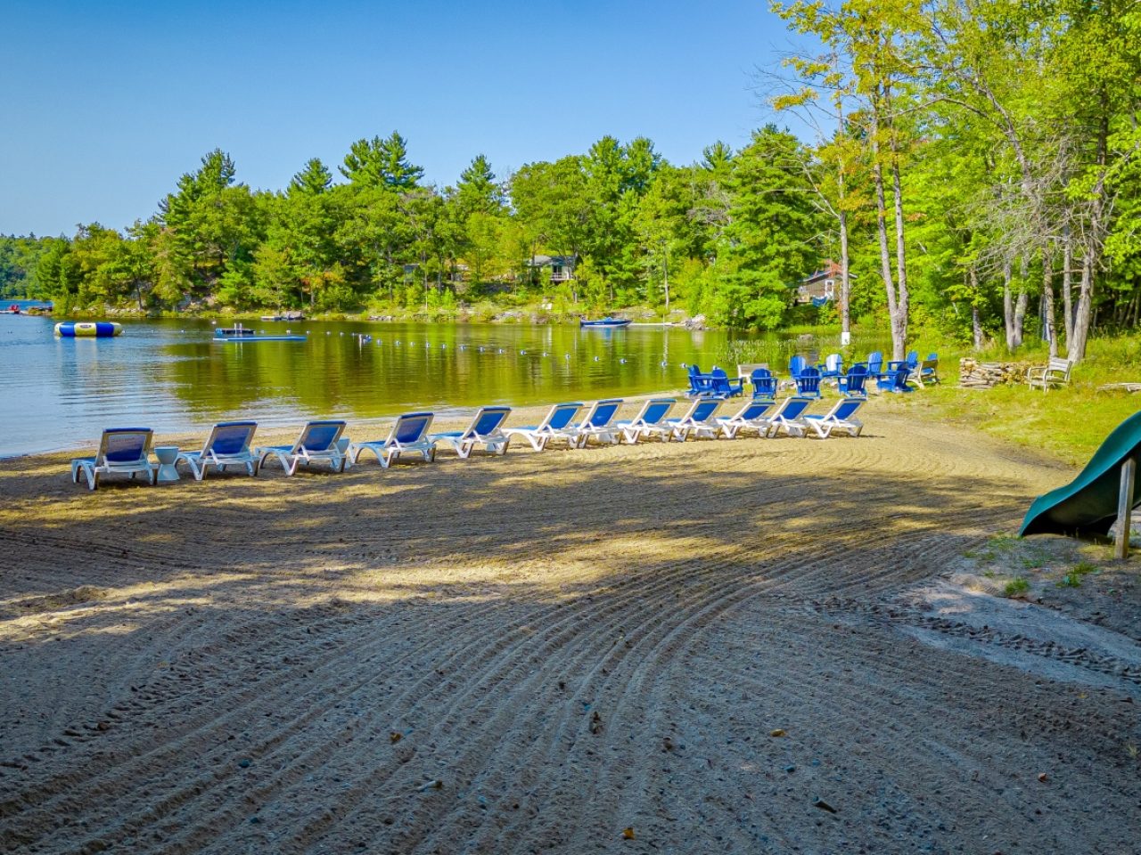 onsite-activities-SprgWdBachDocks