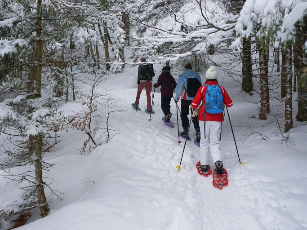 onsite-activities-snowshoeing